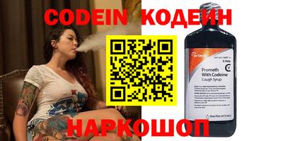 МДПВ Камышлов