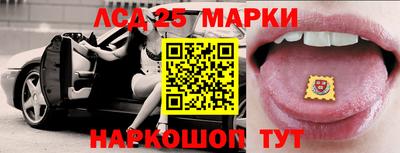 МДПВ Камышлов