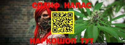 МДПВ Камышлов