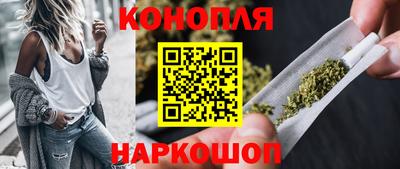 МДПВ Камышлов