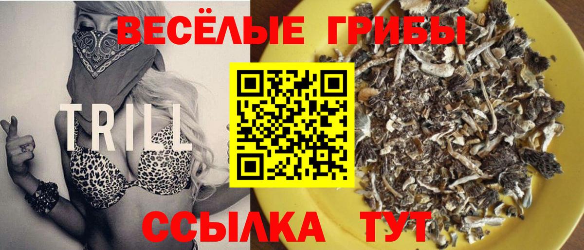 Чусовой  Галлюциногенные грибы мухоморы  Вход с VPN 
