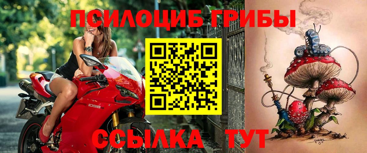 Галлюциногенные грибы GOLDEN TEACHER Чусовой